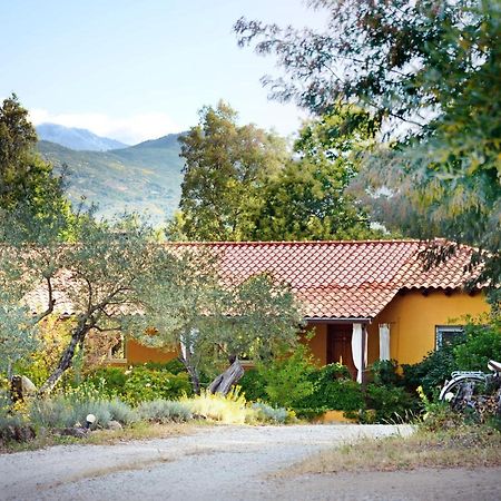 Hotel Rural El Retiro De San Pedro By Retirorural Arenas de San Pedro Buitenkant foto