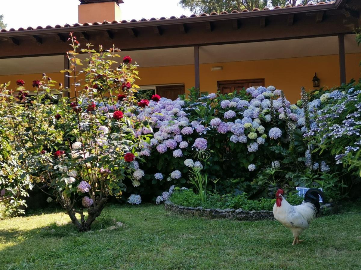 Hotel Rural El Retiro De San Pedro By Retirorural Arenas de San Pedro Buitenkant foto