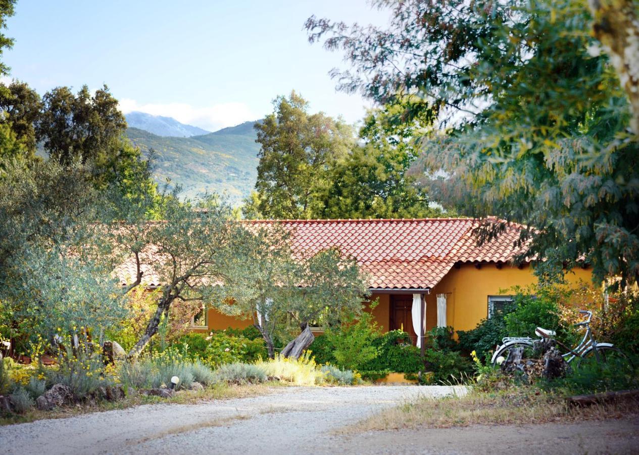 Hotel Rural El Retiro De San Pedro By Retirorural Arenas de San Pedro Buitenkant foto